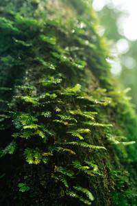 BIB: 
                            <button type="button" onclick="openModal(25045371)" class="btn btn-primary btn-sm float-right btn-popup" data-toggle="modal" data-target=".modal-high-quality">
                        <i class="fas fa-shopping-cart"></i> Add to Cart
                    </button>
                                            <button type="button" onclick="isThisMe(25045371, true)" class="btn btn-success btn-sm float-right btn-popup btn-isme hidden" data-toggle="tooltip" data-placement="bottom" title="นี่คือรูปของคุณใช่ไหม คลิกที่นี่เพื่อเอาเข้าอัลบั้ม">
                        <i class="fas fa-plus"></i> Add to album
                    </button>
                    <button type="button" onclick="isThisMe(25045371, false)" class="btn btn-warning btn-sm float-right btn-popup btn-isnotme hidden">
                        <i class="fas fa-ban"></i> Remove from album
                    </button>