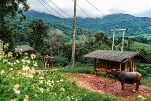 BIB: 
                            <button type="button" onclick="openModal(25045093)" class="btn btn-primary btn-sm float-right btn-popup" data-toggle="modal" data-target=".modal-high-quality">
                        <i class="fas fa-shopping-cart"></i> Add to Cart
                    </button>
                                            <button type="button" onclick="isThisMe(25045093, true)" class="btn btn-success btn-sm float-right btn-popup btn-isme hidden" data-toggle="tooltip" data-placement="bottom" title="นี่คือรูปของคุณใช่ไหม คลิกที่นี่เพื่อเอาเข้าอัลบั้ม">
                        <i class="fas fa-plus"></i> Add to album
                    </button>
                    <button type="button" onclick="isThisMe(25045093, false)" class="btn btn-warning btn-sm float-right btn-popup btn-isnotme hidden">
                        <i class="fas fa-ban"></i> Remove from album
                    </button>