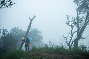 BIB: 
                            <button type="button" onclick="openModal(25045409)" class="btn btn-primary btn-sm float-right btn-popup" data-toggle="modal" data-target=".modal-high-quality">
                        <i class="fas fa-shopping-cart"></i> Add to Cart
                    </button>
                                            <button type="button" onclick="isThisMe(25045409, true)" class="btn btn-success btn-sm float-right btn-popup btn-isme hidden" data-toggle="tooltip" data-placement="bottom" title="นี่คือรูปของคุณใช่ไหม คลิกที่นี่เพื่อเอาเข้าอัลบั้ม">
                        <i class="fas fa-plus"></i> Add to album
                    </button>
                    <button type="button" onclick="isThisMe(25045409, false)" class="btn btn-warning btn-sm float-right btn-popup btn-isnotme hidden">
                        <i class="fas fa-ban"></i> Remove from album
                    </button>