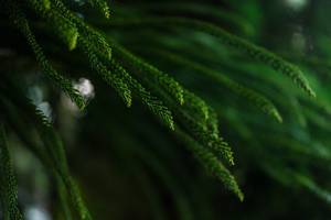 BIB: 
                            <button type="button" onclick="openModal(25044786)" class="btn btn-primary btn-sm float-right btn-popup" data-toggle="modal" data-target=".modal-high-quality">
                        <i class="fas fa-shopping-cart"></i> Add to Cart
                    </button>
                                            <button type="button" onclick="isThisMe(25044786, true)" class="btn btn-success btn-sm float-right btn-popup btn-isme hidden" data-toggle="tooltip" data-placement="bottom" title="นี่คือรูปของคุณใช่ไหม คลิกที่นี่เพื่อเอาเข้าอัลบั้ม">
                        <i class="fas fa-plus"></i> Add to album
                    </button>
                    <button type="button" onclick="isThisMe(25044786, false)" class="btn btn-warning btn-sm float-right btn-popup btn-isnotme hidden">
                        <i class="fas fa-ban"></i> Remove from album
                    </button>