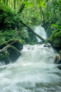 BIB: 
                            <button type="button" onclick="openModal(25045339)" class="btn btn-primary btn-sm float-right btn-popup" data-toggle="modal" data-target=".modal-high-quality">
                        <i class="fas fa-shopping-cart"></i> Add to Cart
                    </button>
                                            <button type="button" onclick="isThisMe(25045339, true)" class="btn btn-success btn-sm float-right btn-popup btn-isme hidden" data-toggle="tooltip" data-placement="bottom" title="นี่คือรูปของคุณใช่ไหม คลิกที่นี่เพื่อเอาเข้าอัลบั้ม">
                        <i class="fas fa-plus"></i> Add to album
                    </button>
                    <button type="button" onclick="isThisMe(25045339, false)" class="btn btn-warning btn-sm float-right btn-popup btn-isnotme hidden">
                        <i class="fas fa-ban"></i> Remove from album
                    </button>