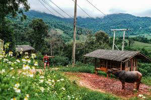 BIB: 
                            <button type="button" onclick="openModal(25045089)" class="btn btn-primary btn-sm float-right btn-popup" data-toggle="modal" data-target=".modal-high-quality">
                        <i class="fas fa-shopping-cart"></i> Add to Cart
                    </button>
                                            <button type="button" onclick="isThisMe(25045089, true)" class="btn btn-success btn-sm float-right btn-popup btn-isme hidden" data-toggle="tooltip" data-placement="bottom" title="นี่คือรูปของคุณใช่ไหม คลิกที่นี่เพื่อเอาเข้าอัลบั้ม">
                        <i class="fas fa-plus"></i> Add to album
                    </button>
                    <button type="button" onclick="isThisMe(25045089, false)" class="btn btn-warning btn-sm float-right btn-popup btn-isnotme hidden">
                        <i class="fas fa-ban"></i> Remove from album
                    </button>