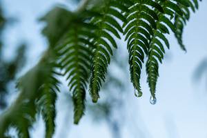 BIB: 
                            <button type="button" onclick="openModal(25044327)" class="btn btn-primary btn-sm float-right btn-popup" data-toggle="modal" data-target=".modal-high-quality">
                        <i class="fas fa-shopping-cart"></i> Add to Cart
                    </button>
                                            <button type="button" onclick="isThisMe(25044327, true)" class="btn btn-success btn-sm float-right btn-popup btn-isme hidden" data-toggle="tooltip" data-placement="bottom" title="นี่คือรูปของคุณใช่ไหม คลิกที่นี่เพื่อเอาเข้าอัลบั้ม">
                        <i class="fas fa-plus"></i> Add to album
                    </button>
                    <button type="button" onclick="isThisMe(25044327, false)" class="btn btn-warning btn-sm float-right btn-popup btn-isnotme hidden">
                        <i class="fas fa-ban"></i> Remove from album
                    </button>