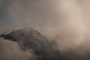 BIB: 
                            <button type="button" onclick="openModal(25045380)" class="btn btn-primary btn-sm float-right btn-popup" data-toggle="modal" data-target=".modal-high-quality">
                        <i class="fas fa-shopping-cart"></i> Add to Cart
                    </button>
                                            <button type="button" onclick="isThisMe(25045380, true)" class="btn btn-success btn-sm float-right btn-popup btn-isme hidden" data-toggle="tooltip" data-placement="bottom" title="นี่คือรูปของคุณใช่ไหม คลิกที่นี่เพื่อเอาเข้าอัลบั้ม">
                        <i class="fas fa-plus"></i> Add to album
                    </button>
                    <button type="button" onclick="isThisMe(25045380, false)" class="btn btn-warning btn-sm float-right btn-popup btn-isnotme hidden">
                        <i class="fas fa-ban"></i> Remove from album
                    </button>