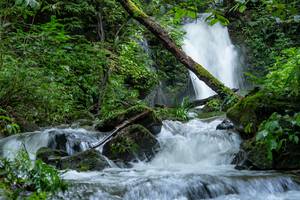 BIB: 
                            <button type="button" onclick="openModal(25045333)" class="btn btn-primary btn-sm float-right btn-popup" data-toggle="modal" data-target=".modal-high-quality">
                        <i class="fas fa-shopping-cart"></i> Add to Cart
                    </button>
                                            <button type="button" onclick="isThisMe(25045333, true)" class="btn btn-success btn-sm float-right btn-popup btn-isme hidden" data-toggle="tooltip" data-placement="bottom" title="นี่คือรูปของคุณใช่ไหม คลิกที่นี่เพื่อเอาเข้าอัลบั้ม">
                        <i class="fas fa-plus"></i> Add to album
                    </button>
                    <button type="button" onclick="isThisMe(25045333, false)" class="btn btn-warning btn-sm float-right btn-popup btn-isnotme hidden">
                        <i class="fas fa-ban"></i> Remove from album
                    </button>