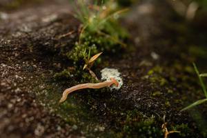 BIB: 
                            <button type="button" onclick="openModal(25045383)" class="btn btn-primary btn-sm float-right btn-popup" data-toggle="modal" data-target=".modal-high-quality">
                        <i class="fas fa-shopping-cart"></i> Add to Cart
                    </button>
                                            <button type="button" onclick="isThisMe(25045383, true)" class="btn btn-success btn-sm float-right btn-popup btn-isme hidden" data-toggle="tooltip" data-placement="bottom" title="นี่คือรูปของคุณใช่ไหม คลิกที่นี่เพื่อเอาเข้าอัลบั้ม">
                        <i class="fas fa-plus"></i> Add to album
                    </button>
                    <button type="button" onclick="isThisMe(25045383, false)" class="btn btn-warning btn-sm float-right btn-popup btn-isnotme hidden">
                        <i class="fas fa-ban"></i> Remove from album
                    </button>