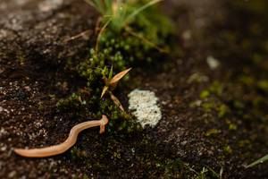 BIB: 
                            <button type="button" onclick="openModal(25045388)" class="btn btn-primary btn-sm float-right btn-popup" data-toggle="modal" data-target=".modal-high-quality">
                        <i class="fas fa-shopping-cart"></i> Add to Cart
                    </button>
                                            <button type="button" onclick="isThisMe(25045388, true)" class="btn btn-success btn-sm float-right btn-popup btn-isme hidden" data-toggle="tooltip" data-placement="bottom" title="นี่คือรูปของคุณใช่ไหม คลิกที่นี่เพื่อเอาเข้าอัลบั้ม">
                        <i class="fas fa-plus"></i> Add to album
                    </button>
                    <button type="button" onclick="isThisMe(25045388, false)" class="btn btn-warning btn-sm float-right btn-popup btn-isnotme hidden">
                        <i class="fas fa-ban"></i> Remove from album
                    </button>