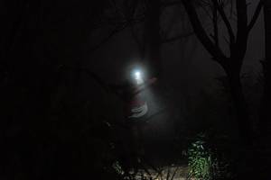 BIB: 
                            <button type="button" onclick="openModal(25045491)" class="btn btn-primary btn-sm float-right btn-popup" data-toggle="modal" data-target=".modal-high-quality">
                        <i class="fas fa-shopping-cart"></i> Add to Cart
                    </button>
                                            <button type="button" onclick="isThisMe(25045491, true)" class="btn btn-success btn-sm float-right btn-popup btn-isme hidden" data-toggle="tooltip" data-placement="bottom" title="นี่คือรูปของคุณใช่ไหม คลิกที่นี่เพื่อเอาเข้าอัลบั้ม">
                        <i class="fas fa-plus"></i> Add to album
                    </button>
                    <button type="button" onclick="isThisMe(25045491, false)" class="btn btn-warning btn-sm float-right btn-popup btn-isnotme hidden">
                        <i class="fas fa-ban"></i> Remove from album
                    </button>