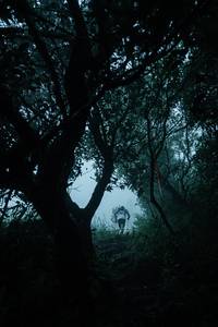 BIB: 
                            <button type="button" onclick="openModal(25045472)" class="btn btn-primary btn-sm float-right btn-popup" data-toggle="modal" data-target=".modal-high-quality">
                        <i class="fas fa-shopping-cart"></i> Add to Cart
                    </button>
                                            <button type="button" onclick="isThisMe(25045472, true)" class="btn btn-success btn-sm float-right btn-popup btn-isme hidden" data-toggle="tooltip" data-placement="bottom" title="นี่คือรูปของคุณใช่ไหม คลิกที่นี่เพื่อเอาเข้าอัลบั้ม">
                        <i class="fas fa-plus"></i> Add to album
                    </button>
                    <button type="button" onclick="isThisMe(25045472, false)" class="btn btn-warning btn-sm float-right btn-popup btn-isnotme hidden">
                        <i class="fas fa-ban"></i> Remove from album
                    </button>