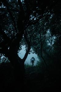 BIB: 
                            <button type="button" onclick="openModal(25045473)" class="btn btn-primary btn-sm float-right btn-popup" data-toggle="modal" data-target=".modal-high-quality">
                        <i class="fas fa-shopping-cart"></i> Add to Cart
                    </button>
                                            <button type="button" onclick="isThisMe(25045473, true)" class="btn btn-success btn-sm float-right btn-popup btn-isme hidden" data-toggle="tooltip" data-placement="bottom" title="นี่คือรูปของคุณใช่ไหม คลิกที่นี่เพื่อเอาเข้าอัลบั้ม">
                        <i class="fas fa-plus"></i> Add to album
                    </button>
                    <button type="button" onclick="isThisMe(25045473, false)" class="btn btn-warning btn-sm float-right btn-popup btn-isnotme hidden">
                        <i class="fas fa-ban"></i> Remove from album
                    </button>