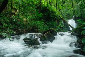 BIB: 
                            <button type="button" onclick="openModal(25045345)" class="btn btn-primary btn-sm float-right btn-popup" data-toggle="modal" data-target=".modal-high-quality">
                        <i class="fas fa-shopping-cart"></i> Add to Cart
                    </button>
                                            <button type="button" onclick="isThisMe(25045345, true)" class="btn btn-success btn-sm float-right btn-popup btn-isme hidden" data-toggle="tooltip" data-placement="bottom" title="นี่คือรูปของคุณใช่ไหม คลิกที่นี่เพื่อเอาเข้าอัลบั้ม">
                        <i class="fas fa-plus"></i> Add to album
                    </button>
                    <button type="button" onclick="isThisMe(25045345, false)" class="btn btn-warning btn-sm float-right btn-popup btn-isnotme hidden">
                        <i class="fas fa-ban"></i> Remove from album
                    </button>