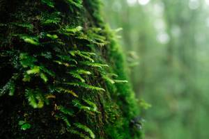 BIB: 
                            <button type="button" onclick="openModal(25045376)" class="btn btn-primary btn-sm float-right btn-popup" data-toggle="modal" data-target=".modal-high-quality">
                        <i class="fas fa-shopping-cart"></i> Add to Cart
                    </button>
                                            <button type="button" onclick="isThisMe(25045376, true)" class="btn btn-success btn-sm float-right btn-popup btn-isme hidden" data-toggle="tooltip" data-placement="bottom" title="นี่คือรูปของคุณใช่ไหม คลิกที่นี่เพื่อเอาเข้าอัลบั้ม">
                        <i class="fas fa-plus"></i> Add to album
                    </button>
                    <button type="button" onclick="isThisMe(25045376, false)" class="btn btn-warning btn-sm float-right btn-popup btn-isnotme hidden">
                        <i class="fas fa-ban"></i> Remove from album
                    </button>