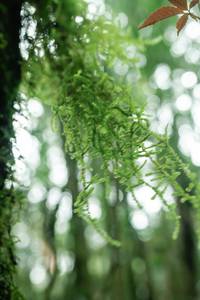 BIB: 
                            <button type="button" onclick="openModal(25045374)" class="btn btn-primary btn-sm float-right btn-popup" data-toggle="modal" data-target=".modal-high-quality">
                        <i class="fas fa-shopping-cart"></i> Add to Cart
                    </button>
                                            <button type="button" onclick="isThisMe(25045374, true)" class="btn btn-success btn-sm float-right btn-popup btn-isme hidden" data-toggle="tooltip" data-placement="bottom" title="นี่คือรูปของคุณใช่ไหม คลิกที่นี่เพื่อเอาเข้าอัลบั้ม">
                        <i class="fas fa-plus"></i> Add to album
                    </button>
                    <button type="button" onclick="isThisMe(25045374, false)" class="btn btn-warning btn-sm float-right btn-popup btn-isnotme hidden">
                        <i class="fas fa-ban"></i> Remove from album
                    </button>