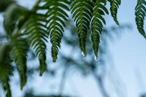 BIB: 
                            <button type="button" onclick="openModal(25044328)" class="btn btn-primary btn-sm float-right btn-popup" data-toggle="modal" data-target=".modal-high-quality">
                        <i class="fas fa-shopping-cart"></i> Add to Cart
                    </button>
                                            <button type="button" onclick="isThisMe(25044328, true)" class="btn btn-success btn-sm float-right btn-popup btn-isme hidden" data-toggle="tooltip" data-placement="bottom" title="นี่คือรูปของคุณใช่ไหม คลิกที่นี่เพื่อเอาเข้าอัลบั้ม">
                        <i class="fas fa-plus"></i> Add to album
                    </button>
                    <button type="button" onclick="isThisMe(25044328, false)" class="btn btn-warning btn-sm float-right btn-popup btn-isnotme hidden">
                        <i class="fas fa-ban"></i> Remove from album
                    </button>