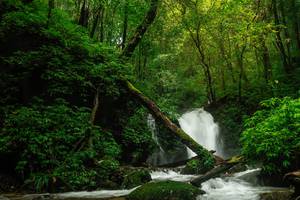 BIB: 
                            <button type="button" onclick="openModal(25045363)" class="btn btn-primary btn-sm float-right btn-popup" data-toggle="modal" data-target=".modal-high-quality">
                        <i class="fas fa-shopping-cart"></i> Add to Cart
                    </button>
                                            <button type="button" onclick="isThisMe(25045363, true)" class="btn btn-success btn-sm float-right btn-popup btn-isme hidden" data-toggle="tooltip" data-placement="bottom" title="นี่คือรูปของคุณใช่ไหม คลิกที่นี่เพื่อเอาเข้าอัลบั้ม">
                        <i class="fas fa-plus"></i> Add to album
                    </button>
                    <button type="button" onclick="isThisMe(25045363, false)" class="btn btn-warning btn-sm float-right btn-popup btn-isnotme hidden">
                        <i class="fas fa-ban"></i> Remove from album
                    </button>