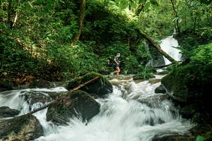 BIB: 
                            <button type="button" onclick="openModal(25045338)" class="btn btn-primary btn-sm float-right btn-popup" data-toggle="modal" data-target=".modal-high-quality">
                        <i class="fas fa-shopping-cart"></i> Add to Cart
                    </button>
                                            <button type="button" onclick="isThisMe(25045338, true)" class="btn btn-success btn-sm float-right btn-popup btn-isme hidden" data-toggle="tooltip" data-placement="bottom" title="นี่คือรูปของคุณใช่ไหม คลิกที่นี่เพื่อเอาเข้าอัลบั้ม">
                        <i class="fas fa-plus"></i> Add to album
                    </button>
                    <button type="button" onclick="isThisMe(25045338, false)" class="btn btn-warning btn-sm float-right btn-popup btn-isnotme hidden">
                        <i class="fas fa-ban"></i> Remove from album
                    </button>