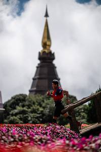 BIB: 
                            <button type="button" onclick="openModal(25044286)" class="btn btn-primary btn-sm float-right btn-popup" data-toggle="modal" data-target=".modal-high-quality">
                        <i class="fas fa-shopping-cart"></i> Add to Cart
                    </button>
                                            <button type="button" onclick="isThisMe(25044286, true)" class="btn btn-success btn-sm float-right btn-popup btn-isme hidden" data-toggle="tooltip" data-placement="bottom" title="นี่คือรูปของคุณใช่ไหม คลิกที่นี่เพื่อเอาเข้าอัลบั้ม">
                        <i class="fas fa-plus"></i> Add to album
                    </button>
                    <button type="button" onclick="isThisMe(25044286, false)" class="btn btn-warning btn-sm float-right btn-popup btn-isnotme hidden">
                        <i class="fas fa-ban"></i> Remove from album
                    </button>