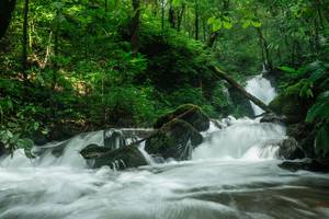 BIB: 
                            <button type="button" onclick="openModal(25045348)" class="btn btn-primary btn-sm float-right btn-popup" data-toggle="modal" data-target=".modal-high-quality">
                        <i class="fas fa-shopping-cart"></i> Add to Cart
                    </button>
                                            <button type="button" onclick="isThisMe(25045348, true)" class="btn btn-success btn-sm float-right btn-popup btn-isme hidden" data-toggle="tooltip" data-placement="bottom" title="นี่คือรูปของคุณใช่ไหม คลิกที่นี่เพื่อเอาเข้าอัลบั้ม">
                        <i class="fas fa-plus"></i> Add to album
                    </button>
                    <button type="button" onclick="isThisMe(25045348, false)" class="btn btn-warning btn-sm float-right btn-popup btn-isnotme hidden">
                        <i class="fas fa-ban"></i> Remove from album
                    </button>