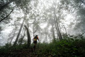 BIB: 
                            <button type="button" onclick="openModal(25044358)" class="btn btn-primary btn-sm float-right btn-popup" data-toggle="modal" data-target=".modal-high-quality">
                        <i class="fas fa-shopping-cart"></i> Add to Cart
                    </button>
                                            <button type="button" onclick="isThisMe(25044358, true)" class="btn btn-success btn-sm float-right btn-popup btn-isme hidden" data-toggle="tooltip" data-placement="bottom" title="นี่คือรูปของคุณใช่ไหม คลิกที่นี่เพื่อเอาเข้าอัลบั้ม">
                        <i class="fas fa-plus"></i> Add to album
                    </button>
                    <button type="button" onclick="isThisMe(25044358, false)" class="btn btn-warning btn-sm float-right btn-popup btn-isnotme hidden">
                        <i class="fas fa-ban"></i> Remove from album
                    </button>