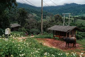 BIB: 
                            <button type="button" onclick="openModal(25045103)" class="btn btn-primary btn-sm float-right btn-popup" data-toggle="modal" data-target=".modal-high-quality">
                        <i class="fas fa-shopping-cart"></i> Add to Cart
                    </button>
                                            <button type="button" onclick="isThisMe(25045103, true)" class="btn btn-success btn-sm float-right btn-popup btn-isme hidden" data-toggle="tooltip" data-placement="bottom" title="นี่คือรูปของคุณใช่ไหม คลิกที่นี่เพื่อเอาเข้าอัลบั้ม">
                        <i class="fas fa-plus"></i> Add to album
                    </button>
                    <button type="button" onclick="isThisMe(25045103, false)" class="btn btn-warning btn-sm float-right btn-popup btn-isnotme hidden">
                        <i class="fas fa-ban"></i> Remove from album
                    </button>