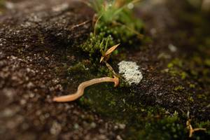 BIB: 
                            <button type="button" onclick="openModal(25045385)" class="btn btn-primary btn-sm float-right btn-popup" data-toggle="modal" data-target=".modal-high-quality">
                        <i class="fas fa-shopping-cart"></i> Add to Cart
                    </button>
                                            <button type="button" onclick="isThisMe(25045385, true)" class="btn btn-success btn-sm float-right btn-popup btn-isme hidden" data-toggle="tooltip" data-placement="bottom" title="นี่คือรูปของคุณใช่ไหม คลิกที่นี่เพื่อเอาเข้าอัลบั้ม">
                        <i class="fas fa-plus"></i> Add to album
                    </button>
                    <button type="button" onclick="isThisMe(25045385, false)" class="btn btn-warning btn-sm float-right btn-popup btn-isnotme hidden">
                        <i class="fas fa-ban"></i> Remove from album
                    </button>