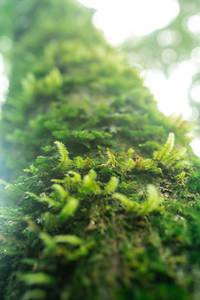 BIB: 
                            <button type="button" onclick="openModal(25045370)" class="btn btn-primary btn-sm float-right btn-popup" data-toggle="modal" data-target=".modal-high-quality">
                        <i class="fas fa-shopping-cart"></i> Add to Cart
                    </button>
                                            <button type="button" onclick="isThisMe(25045370, true)" class="btn btn-success btn-sm float-right btn-popup btn-isme hidden" data-toggle="tooltip" data-placement="bottom" title="นี่คือรูปของคุณใช่ไหม คลิกที่นี่เพื่อเอาเข้าอัลบั้ม">
                        <i class="fas fa-plus"></i> Add to album
                    </button>
                    <button type="button" onclick="isThisMe(25045370, false)" class="btn btn-warning btn-sm float-right btn-popup btn-isnotme hidden">
                        <i class="fas fa-ban"></i> Remove from album
                    </button>