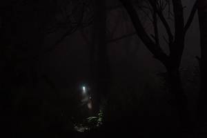 BIB: 
                            <button type="button" onclick="openModal(25045493)" class="btn btn-primary btn-sm float-right btn-popup" data-toggle="modal" data-target=".modal-high-quality">
                        <i class="fas fa-shopping-cart"></i> Add to Cart
                    </button>
                                            <button type="button" onclick="isThisMe(25045493, true)" class="btn btn-success btn-sm float-right btn-popup btn-isme hidden" data-toggle="tooltip" data-placement="bottom" title="นี่คือรูปของคุณใช่ไหม คลิกที่นี่เพื่อเอาเข้าอัลบั้ม">
                        <i class="fas fa-plus"></i> Add to album
                    </button>
                    <button type="button" onclick="isThisMe(25045493, false)" class="btn btn-warning btn-sm float-right btn-popup btn-isnotme hidden">
                        <i class="fas fa-ban"></i> Remove from album
                    </button>