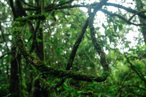 BIB: 
                            <button type="button" onclick="openModal(25045372)" class="btn btn-primary btn-sm float-right btn-popup" data-toggle="modal" data-target=".modal-high-quality">
                        <i class="fas fa-shopping-cart"></i> Add to Cart
                    </button>
                                            <button type="button" onclick="isThisMe(25045372, true)" class="btn btn-success btn-sm float-right btn-popup btn-isme hidden" data-toggle="tooltip" data-placement="bottom" title="นี่คือรูปของคุณใช่ไหม คลิกที่นี่เพื่อเอาเข้าอัลบั้ม">
                        <i class="fas fa-plus"></i> Add to album
                    </button>
                    <button type="button" onclick="isThisMe(25045372, false)" class="btn btn-warning btn-sm float-right btn-popup btn-isnotme hidden">
                        <i class="fas fa-ban"></i> Remove from album
                    </button>