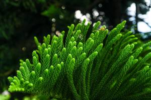 BIB: 
                            <button type="button" onclick="openModal(25044778)" class="btn btn-primary btn-sm float-right btn-popup" data-toggle="modal" data-target=".modal-high-quality">
                        <i class="fas fa-shopping-cart"></i> Add to Cart
                    </button>
                                            <button type="button" onclick="isThisMe(25044778, true)" class="btn btn-success btn-sm float-right btn-popup btn-isme hidden" data-toggle="tooltip" data-placement="bottom" title="นี่คือรูปของคุณใช่ไหม คลิกที่นี่เพื่อเอาเข้าอัลบั้ม">
                        <i class="fas fa-plus"></i> Add to album
                    </button>
                    <button type="button" onclick="isThisMe(25044778, false)" class="btn btn-warning btn-sm float-right btn-popup btn-isnotme hidden">
                        <i class="fas fa-ban"></i> Remove from album
                    </button>