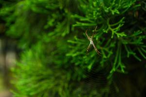 BIB: 
                            <button type="button" onclick="openModal(25044782)" class="btn btn-primary btn-sm float-right btn-popup" data-toggle="modal" data-target=".modal-high-quality">
                        <i class="fas fa-shopping-cart"></i> Add to Cart
                    </button>
                                            <button type="button" onclick="isThisMe(25044782, true)" class="btn btn-success btn-sm float-right btn-popup btn-isme hidden" data-toggle="tooltip" data-placement="bottom" title="นี่คือรูปของคุณใช่ไหม คลิกที่นี่เพื่อเอาเข้าอัลบั้ม">
                        <i class="fas fa-plus"></i> Add to album
                    </button>
                    <button type="button" onclick="isThisMe(25044782, false)" class="btn btn-warning btn-sm float-right btn-popup btn-isnotme hidden">
                        <i class="fas fa-ban"></i> Remove from album
                    </button>