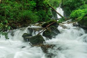 BIB: 
                            <button type="button" onclick="openModal(25045354)" class="btn btn-primary btn-sm float-right btn-popup" data-toggle="modal" data-target=".modal-high-quality">
                        <i class="fas fa-shopping-cart"></i> Add to Cart
                    </button>
                                            <button type="button" onclick="isThisMe(25045354, true)" class="btn btn-success btn-sm float-right btn-popup btn-isme hidden" data-toggle="tooltip" data-placement="bottom" title="นี่คือรูปของคุณใช่ไหม คลิกที่นี่เพื่อเอาเข้าอัลบั้ม">
                        <i class="fas fa-plus"></i> Add to album
                    </button>
                    <button type="button" onclick="isThisMe(25045354, false)" class="btn btn-warning btn-sm float-right btn-popup btn-isnotme hidden">
                        <i class="fas fa-ban"></i> Remove from album
                    </button>