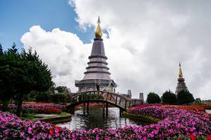 BIB: 
                            <button type="button" onclick="openModal(25044290)" class="btn btn-primary btn-sm float-right btn-popup" data-toggle="modal" data-target=".modal-high-quality">
                        <i class="fas fa-shopping-cart"></i> Add to Cart
                    </button>
                                            <button type="button" onclick="isThisMe(25044290, true)" class="btn btn-success btn-sm float-right btn-popup btn-isme hidden" data-toggle="tooltip" data-placement="bottom" title="นี่คือรูปของคุณใช่ไหม คลิกที่นี่เพื่อเอาเข้าอัลบั้ม">
                        <i class="fas fa-plus"></i> Add to album
                    </button>
                    <button type="button" onclick="isThisMe(25044290, false)" class="btn btn-warning btn-sm float-right btn-popup btn-isnotme hidden">
                        <i class="fas fa-ban"></i> Remove from album
                    </button>