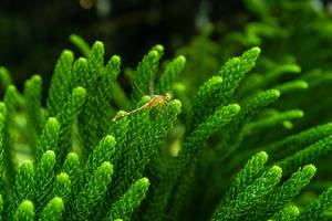 BIB: 
                            <button type="button" onclick="openModal(25044780)" class="btn btn-primary btn-sm float-right btn-popup" data-toggle="modal" data-target=".modal-high-quality">
                        <i class="fas fa-shopping-cart"></i> Add to Cart
                    </button>
                                            <button type="button" onclick="isThisMe(25044780, true)" class="btn btn-success btn-sm float-right btn-popup btn-isme hidden" data-toggle="tooltip" data-placement="bottom" title="นี่คือรูปของคุณใช่ไหม คลิกที่นี่เพื่อเอาเข้าอัลบั้ม">
                        <i class="fas fa-plus"></i> Add to album
                    </button>
                    <button type="button" onclick="isThisMe(25044780, false)" class="btn btn-warning btn-sm float-right btn-popup btn-isnotme hidden">
                        <i class="fas fa-ban"></i> Remove from album
                    </button>