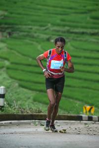 BIB: 3200
                            <button type="button" onclick="openModal(24989820)" class="btn btn-primary btn-sm float-right btn-popup" data-toggle="modal" data-target=".modal-high-quality">
                        <i class="fas fa-shopping-cart"></i> Add to Cart
                    </button>
                                            <button type="button" onclick="isThisMe(24989820, true)" class="btn btn-success btn-sm float-right btn-popup btn-isme hidden" data-toggle="tooltip" data-placement="bottom" title="นี่คือรูปของคุณใช่ไหม คลิกที่นี่เพื่อเอาเข้าอัลบั้ม">
                        <i class="fas fa-plus"></i> Add to album
                    </button>
                    <button type="button" onclick="isThisMe(24989820, false)" class="btn btn-warning btn-sm float-right btn-popup btn-isnotme hidden">
                        <i class="fas fa-ban"></i> Remove from album
                    </button>