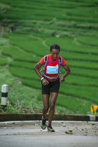 BIB: 3200
                            <button type="button" onclick="openModal(24989807)" class="btn btn-primary btn-sm float-right btn-popup" data-toggle="modal" data-target=".modal-high-quality">
                        <i class="fas fa-shopping-cart"></i> Add to Cart
                    </button>
                                            <button type="button" onclick="isThisMe(24989807, true)" class="btn btn-success btn-sm float-right btn-popup btn-isme hidden" data-toggle="tooltip" data-placement="bottom" title="นี่คือรูปของคุณใช่ไหม คลิกที่นี่เพื่อเอาเข้าอัลบั้ม">
                        <i class="fas fa-plus"></i> Add to album
                    </button>
                    <button type="button" onclick="isThisMe(24989807, false)" class="btn btn-warning btn-sm float-right btn-popup btn-isnotme hidden">
                        <i class="fas fa-ban"></i> Remove from album
                    </button>