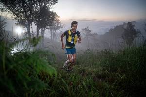 BIB: 
                            <button type="button" onclick="openModal(25016483)" class="btn btn-primary btn-sm float-right btn-popup" data-toggle="modal" data-target=".modal-high-quality">
                        <i class="fas fa-shopping-cart"></i> Add to Cart
                    </button>
                                            <button type="button" onclick="isThisMe(25016483, true)" class="btn btn-success btn-sm float-right btn-popup btn-isme hidden" data-toggle="tooltip" data-placement="bottom" title="นี่คือรูปของคุณใช่ไหม คลิกที่นี่เพื่อเอาเข้าอัลบั้ม">
                        <i class="fas fa-plus"></i> Add to album
                    </button>
                    <button type="button" onclick="isThisMe(25016483, false)" class="btn btn-warning btn-sm float-right btn-popup btn-isnotme hidden">
                        <i class="fas fa-ban"></i> Remove from album
                    </button>