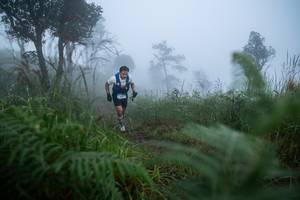 BIB: 
                            <button type="button" onclick="openModal(25011165)" class="btn btn-primary btn-sm float-right btn-popup" data-toggle="modal" data-target=".modal-high-quality">
                        <i class="fas fa-shopping-cart"></i> Add to Cart
                    </button>
                                            <button type="button" onclick="isThisMe(25011165, true)" class="btn btn-success btn-sm float-right btn-popup btn-isme hidden" data-toggle="tooltip" data-placement="bottom" title="นี่คือรูปของคุณใช่ไหม คลิกที่นี่เพื่อเอาเข้าอัลบั้ม">
                        <i class="fas fa-plus"></i> Add to album
                    </button>
                    <button type="button" onclick="isThisMe(25011165, false)" class="btn btn-warning btn-sm float-right btn-popup btn-isnotme hidden">
                        <i class="fas fa-ban"></i> Remove from album
                    </button>