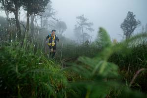 BIB: 
                            <button type="button" onclick="openModal(25010946)" class="btn btn-primary btn-sm float-right btn-popup" data-toggle="modal" data-target=".modal-high-quality">
                        <i class="fas fa-shopping-cart"></i> Add to Cart
                    </button>
                                            <button type="button" onclick="isThisMe(25010946, true)" class="btn btn-success btn-sm float-right btn-popup btn-isme hidden" data-toggle="tooltip" data-placement="bottom" title="นี่คือรูปของคุณใช่ไหม คลิกที่นี่เพื่อเอาเข้าอัลบั้ม">
                        <i class="fas fa-plus"></i> Add to album
                    </button>
                    <button type="button" onclick="isThisMe(25010946, false)" class="btn btn-warning btn-sm float-right btn-popup btn-isnotme hidden">
                        <i class="fas fa-ban"></i> Remove from album
                    </button>