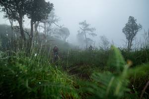 BIB: 
                            <button type="button" onclick="openModal(25010978)" class="btn btn-primary btn-sm float-right btn-popup" data-toggle="modal" data-target=".modal-high-quality">
                        <i class="fas fa-shopping-cart"></i> Add to Cart
                    </button>
                                            <button type="button" onclick="isThisMe(25010978, true)" class="btn btn-success btn-sm float-right btn-popup btn-isme hidden" data-toggle="tooltip" data-placement="bottom" title="นี่คือรูปของคุณใช่ไหม คลิกที่นี่เพื่อเอาเข้าอัลบั้ม">
                        <i class="fas fa-plus"></i> Add to album
                    </button>
                    <button type="button" onclick="isThisMe(25010978, false)" class="btn btn-warning btn-sm float-right btn-popup btn-isnotme hidden">
                        <i class="fas fa-ban"></i> Remove from album
                    </button>