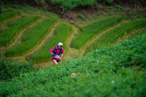 BIB: 
                            <button type="button" onclick="openModal(25041808)" class="btn btn-primary btn-sm float-right btn-popup" data-toggle="modal" data-target=".modal-high-quality">
                        <i class="fas fa-shopping-cart"></i> Add to Cart
                    </button>
                                            <button type="button" onclick="isThisMe(25041808, true)" class="btn btn-success btn-sm float-right btn-popup btn-isme hidden" data-toggle="tooltip" data-placement="bottom" title="นี่คือรูปของคุณใช่ไหม คลิกที่นี่เพื่อเอาเข้าอัลบั้ม">
                        <i class="fas fa-plus"></i> Add to album
                    </button>
                    <button type="button" onclick="isThisMe(25041808, false)" class="btn btn-warning btn-sm float-right btn-popup btn-isnotme hidden">
                        <i class="fas fa-ban"></i> Remove from album
                    </button>