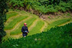 BIB: 
                            <button type="button" onclick="openModal(25041974)" class="btn btn-primary btn-sm float-right btn-popup" data-toggle="modal" data-target=".modal-high-quality">
                        <i class="fas fa-shopping-cart"></i> Add to Cart
                    </button>
                                            <button type="button" onclick="isThisMe(25041974, true)" class="btn btn-success btn-sm float-right btn-popup btn-isme hidden" data-toggle="tooltip" data-placement="bottom" title="นี่คือรูปของคุณใช่ไหม คลิกที่นี่เพื่อเอาเข้าอัลบั้ม">
                        <i class="fas fa-plus"></i> Add to album
                    </button>
                    <button type="button" onclick="isThisMe(25041974, false)" class="btn btn-warning btn-sm float-right btn-popup btn-isnotme hidden">
                        <i class="fas fa-ban"></i> Remove from album
                    </button>