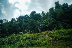 BIB: 
                            <button type="button" onclick="openModal(25041920)" class="btn btn-primary btn-sm float-right btn-popup" data-toggle="modal" data-target=".modal-high-quality">
                        <i class="fas fa-shopping-cart"></i> Add to Cart
                    </button>
                                            <button type="button" onclick="isThisMe(25041920, true)" class="btn btn-success btn-sm float-right btn-popup btn-isme hidden" data-toggle="tooltip" data-placement="bottom" title="นี่คือรูปของคุณใช่ไหม คลิกที่นี่เพื่อเอาเข้าอัลบั้ม">
                        <i class="fas fa-plus"></i> Add to album
                    </button>
                    <button type="button" onclick="isThisMe(25041920, false)" class="btn btn-warning btn-sm float-right btn-popup btn-isnotme hidden">
                        <i class="fas fa-ban"></i> Remove from album
                    </button>