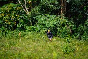 BIB: 
                            <button type="button" onclick="openModal(25041967)" class="btn btn-primary btn-sm float-right btn-popup" data-toggle="modal" data-target=".modal-high-quality">
                        <i class="fas fa-shopping-cart"></i> Add to Cart
                    </button>
                                            <button type="button" onclick="isThisMe(25041967, true)" class="btn btn-success btn-sm float-right btn-popup btn-isme hidden" data-toggle="tooltip" data-placement="bottom" title="นี่คือรูปของคุณใช่ไหม คลิกที่นี่เพื่อเอาเข้าอัลบั้ม">
                        <i class="fas fa-plus"></i> Add to album
                    </button>
                    <button type="button" onclick="isThisMe(25041967, false)" class="btn btn-warning btn-sm float-right btn-popup btn-isnotme hidden">
                        <i class="fas fa-ban"></i> Remove from album
                    </button>