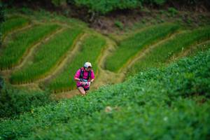 BIB: 
                            <button type="button" onclick="openModal(25041807)" class="btn btn-primary btn-sm float-right btn-popup" data-toggle="modal" data-target=".modal-high-quality">
                        <i class="fas fa-shopping-cart"></i> Add to Cart
                    </button>
                                            <button type="button" onclick="isThisMe(25041807, true)" class="btn btn-success btn-sm float-right btn-popup btn-isme hidden" data-toggle="tooltip" data-placement="bottom" title="นี่คือรูปของคุณใช่ไหม คลิกที่นี่เพื่อเอาเข้าอัลบั้ม">
                        <i class="fas fa-plus"></i> Add to album
                    </button>
                    <button type="button" onclick="isThisMe(25041807, false)" class="btn btn-warning btn-sm float-right btn-popup btn-isnotme hidden">
                        <i class="fas fa-ban"></i> Remove from album
                    </button>