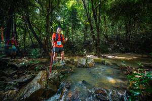 BIB: 
                            <button type="button" onclick="openModal(24994552)" class="btn btn-primary btn-sm float-right btn-popup" data-toggle="modal" data-target=".modal-high-quality">
                        <i class="fas fa-shopping-cart"></i> Add to Cart
                    </button>
                                            <button type="button" onclick="isThisMe(24994552, true)" class="btn btn-success btn-sm float-right btn-popup btn-isme hidden" data-toggle="tooltip" data-placement="bottom" title="นี่คือรูปของคุณใช่ไหม คลิกที่นี่เพื่อเอาเข้าอัลบั้ม">
                        <i class="fas fa-plus"></i> Add to album
                    </button>
                    <button type="button" onclick="isThisMe(24994552, false)" class="btn btn-warning btn-sm float-right btn-popup btn-isnotme hidden">
                        <i class="fas fa-ban"></i> Remove from album
                    </button>