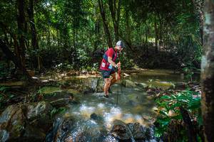 BIB: 
                            <button type="button" onclick="openModal(24994648)" class="btn btn-primary btn-sm float-right btn-popup" data-toggle="modal" data-target=".modal-high-quality">
                        <i class="fas fa-shopping-cart"></i> Add to Cart
                    </button>
                                            <button type="button" onclick="isThisMe(24994648, true)" class="btn btn-success btn-sm float-right btn-popup btn-isme hidden" data-toggle="tooltip" data-placement="bottom" title="นี่คือรูปของคุณใช่ไหม คลิกที่นี่เพื่อเอาเข้าอัลบั้ม">
                        <i class="fas fa-plus"></i> Add to album
                    </button>
                    <button type="button" onclick="isThisMe(24994648, false)" class="btn btn-warning btn-sm float-right btn-popup btn-isnotme hidden">
                        <i class="fas fa-ban"></i> Remove from album
                    </button>