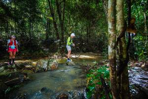 BIB: 
                            <button type="button" onclick="openModal(24994447)" class="btn btn-primary btn-sm float-right btn-popup" data-toggle="modal" data-target=".modal-high-quality">
                        <i class="fas fa-shopping-cart"></i> Add to Cart
                    </button>
                                            <button type="button" onclick="isThisMe(24994447, true)" class="btn btn-success btn-sm float-right btn-popup btn-isme hidden" data-toggle="tooltip" data-placement="bottom" title="นี่คือรูปของคุณใช่ไหม คลิกที่นี่เพื่อเอาเข้าอัลบั้ม">
                        <i class="fas fa-plus"></i> Add to album
                    </button>
                    <button type="button" onclick="isThisMe(24994447, false)" class="btn btn-warning btn-sm float-right btn-popup btn-isnotme hidden">
                        <i class="fas fa-ban"></i> Remove from album
                    </button>