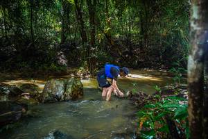 BIB: 
                            <button type="button" onclick="openModal(24994381)" class="btn btn-primary btn-sm float-right btn-popup" data-toggle="modal" data-target=".modal-high-quality">
                        <i class="fas fa-shopping-cart"></i> Add to Cart
                    </button>
                                            <button type="button" onclick="isThisMe(24994381, true)" class="btn btn-success btn-sm float-right btn-popup btn-isme hidden" data-toggle="tooltip" data-placement="bottom" title="นี่คือรูปของคุณใช่ไหม คลิกที่นี่เพื่อเอาเข้าอัลบั้ม">
                        <i class="fas fa-plus"></i> Add to album
                    </button>
                    <button type="button" onclick="isThisMe(24994381, false)" class="btn btn-warning btn-sm float-right btn-popup btn-isnotme hidden">
                        <i class="fas fa-ban"></i> Remove from album
                    </button>