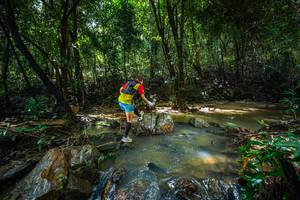 BIB: 
                            <button type="button" onclick="openModal(24994562)" class="btn btn-primary btn-sm float-right btn-popup" data-toggle="modal" data-target=".modal-high-quality">
                        <i class="fas fa-shopping-cart"></i> Add to Cart
                    </button>
                                            <button type="button" onclick="isThisMe(24994562, true)" class="btn btn-success btn-sm float-right btn-popup btn-isme hidden" data-toggle="tooltip" data-placement="bottom" title="นี่คือรูปของคุณใช่ไหม คลิกที่นี่เพื่อเอาเข้าอัลบั้ม">
                        <i class="fas fa-plus"></i> Add to album
                    </button>
                    <button type="button" onclick="isThisMe(24994562, false)" class="btn btn-warning btn-sm float-right btn-popup btn-isnotme hidden">
                        <i class="fas fa-ban"></i> Remove from album
                    </button>