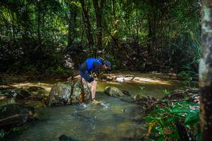 BIB: 
                            <button type="button" onclick="openModal(24994380)" class="btn btn-primary btn-sm float-right btn-popup" data-toggle="modal" data-target=".modal-high-quality">
                        <i class="fas fa-shopping-cart"></i> Add to Cart
                    </button>
                                            <button type="button" onclick="isThisMe(24994380, true)" class="btn btn-success btn-sm float-right btn-popup btn-isme hidden" data-toggle="tooltip" data-placement="bottom" title="นี่คือรูปของคุณใช่ไหม คลิกที่นี่เพื่อเอาเข้าอัลบั้ม">
                        <i class="fas fa-plus"></i> Add to album
                    </button>
                    <button type="button" onclick="isThisMe(24994380, false)" class="btn btn-warning btn-sm float-right btn-popup btn-isnotme hidden">
                        <i class="fas fa-ban"></i> Remove from album
                    </button>